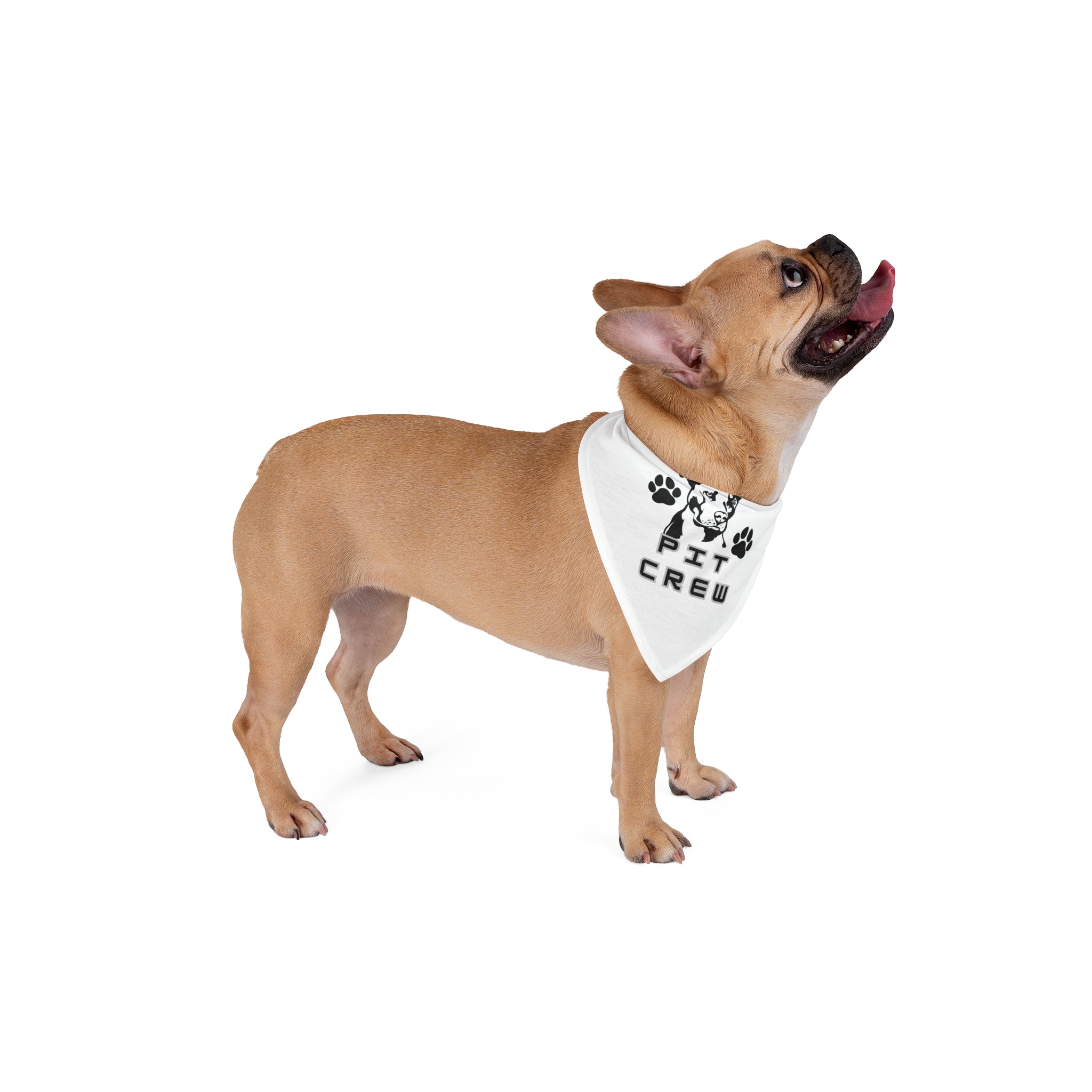 Pit Crew Dog Fashion Pet Bandana